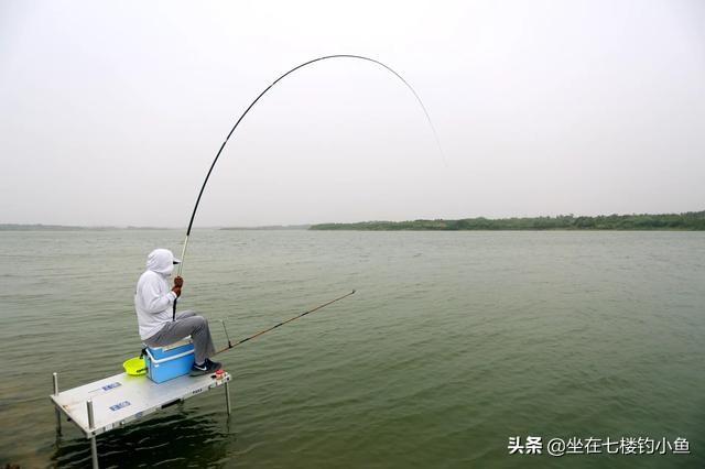 女大学生可以培养什么兴趣爱好？