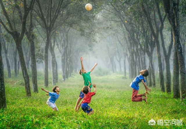 幼师专业的前景如何？