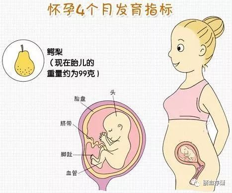 《孕妇知识》怀孕四个月怎么做胎教最好