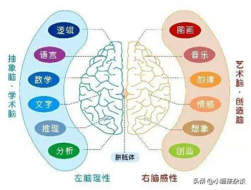 怎样开发自己的大脑？