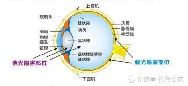 最近孩子上网课，手机平板看得多，怎么保护视力呀？