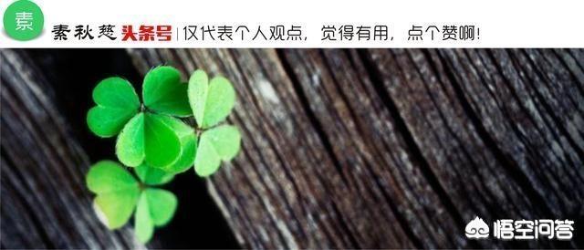 教师资格证考试内容是什么？