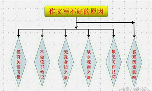 小学生阅读写作能力如何提升？