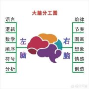 教师可以用哪些方法开发幼儿的右脑？