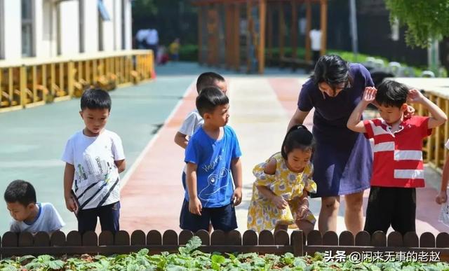 如何评价教育部学前教育法草案中的「幼儿园不得教授小学教育内容」？